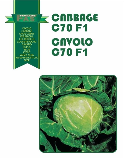 CAVOLO CAPPUCCIO HYBRD. F.1 C70 GG. 10.000